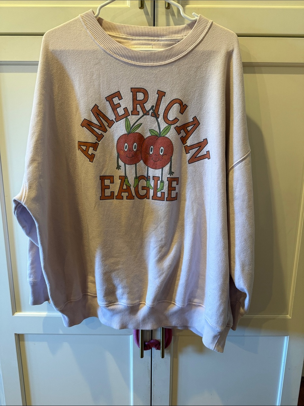 American Eagle Outfitters Pale Pink Graphic Crewneck with Fruit Print